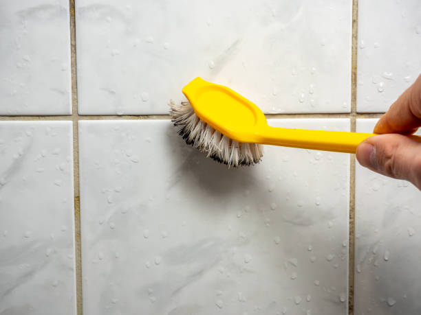 Best Mold Testing and Removal  in Downers Grove, IL