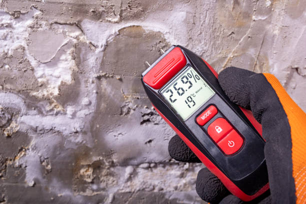 Certified Mold Removal in Downers Grove, IL